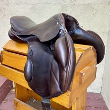 17.5 schleese eventing for sale  San Rafael