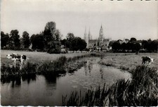 Real photo aure for sale  Cary