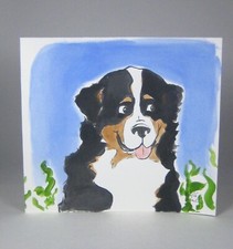 Bernese mountain dog for sale  Bogota