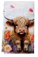 Highland cow calf for sale  CHEPSTOW