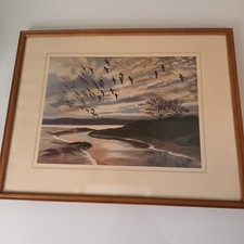 Framed peter scott for sale  BIGGLESWADE