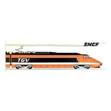 Ferrovie francesi sncf usato  Milano