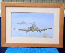 Warthog watercolour painting for sale  BRIDLINGTON