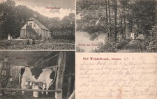 Hof weddelbrook holstein gebraucht kaufen  Bad Zwischenahn