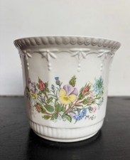 Vintage aynsey plant for sale  LONDON