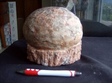 Oeuf hadrosaure. d'occasion  Cognin