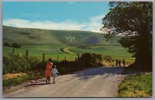 Wilmington long man for sale  REDCAR