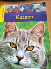 Katzen wissenswerte ausstattun gebraucht kaufen  Pracht