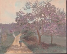 Boy walking near for sale  Hartford