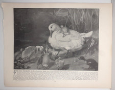 Art print ugly for sale  Louisiana