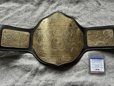 Goldberg wrestling hof gebraucht kaufen  Marienheide