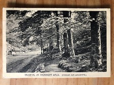 Alte ansichtskarte 1918 gebraucht kaufen  Neubukow