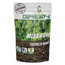 Greenmood missouri trifoglio usato  Italia