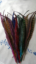 Pack pheasant tail for sale  ISLEWORTH