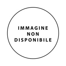 Vetro posteriore lunotto usato  Italia