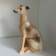 greyhound for sale greyhound for sale BIRMINGHAM