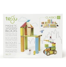 Tegu wooden magnetic for sale  Chicago