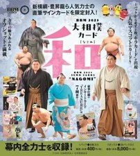 Bbm sumo trading for sale  CHESTER