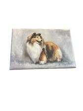 sheltie puppies for sale sheltie puppies for sale Simi Valley