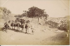 Algerie 1880 caravane d'occasion  Ballon