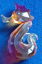live seahorses for sale live seahorses for sale BRAMPTON