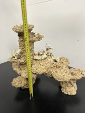 marine live rock for sale marine live rock for sale IPSWICH