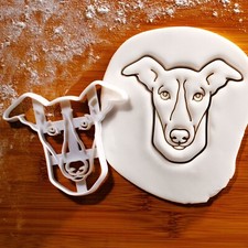 Lévrier whippet visage d'occasion  Expédié en France