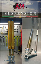 Revisione forcella ohlins usato  Caserta