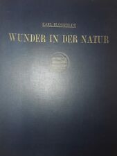 Karl blossfeldt wunder gebraucht kaufen  Berlin