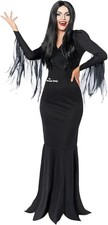 Ladies morticia wig for sale  SOLIHULL