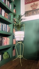 Tall antique victorian for sale  DONCASTER
