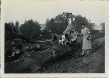 Antique photo vintage d'occasion  Expédié en Belgium