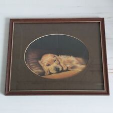 Thomas newman cocker for sale  KETTERING