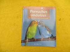 Perruches ondulées annette d'occasion  Saint-Laurent-de-la-Cabrerisse