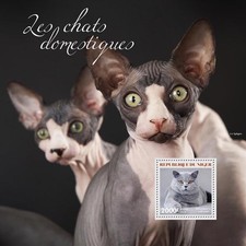 Domestic cats d'occasion  Expédié en Belgium