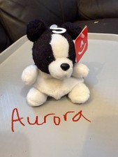 Aurora border collie for sale  LOUGHTON