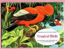 Brooke bond tropical for sale  WITHAM