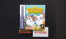Nintendo gba hamtaro usato  Monza