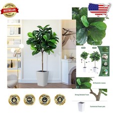 Customizable 5ft faux for sale  Luckey