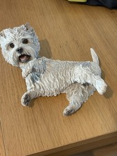 Lying westie dog for sale  SALFORD