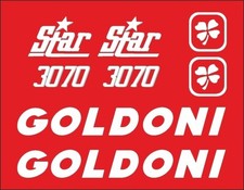 Adesivi decalcomanie goldoni usato  Trapani