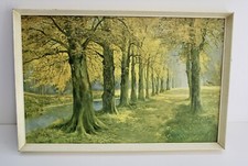Vintage picture beech for sale  BENFLEET