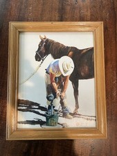 Peter brien horse for sale  Bremerton