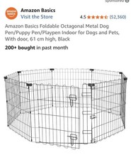 61cm dog amazon for sale 61cm dog amazon for sale  WELLINGBOROUGH