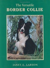 Versatile border collie for sale  San Jose