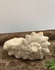 Vtg faux conch for sale  Greenbrier