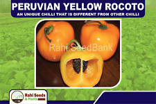 Rocoto giallo peruviano usato  Spedire a Italy