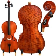 Canzone violoncello profession usato  Spedire a Italy