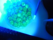 Vintage uranium playing for sale  Yuba City