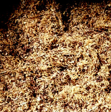 500 tabac blond d'occasion  Rostrenen